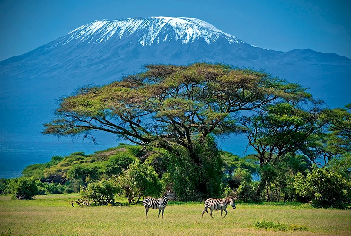 Килиманджаро национальный парк Серенгети