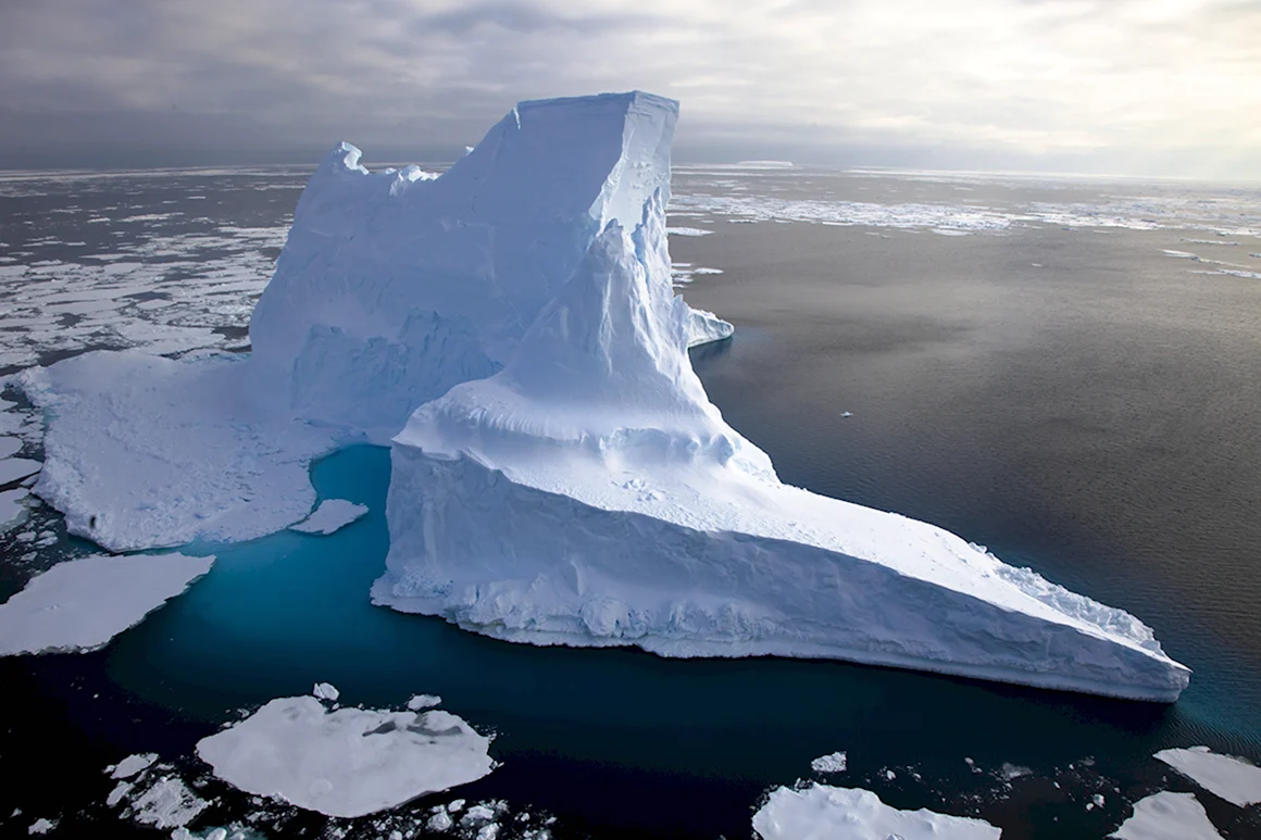 Китовая бухта Антарктида