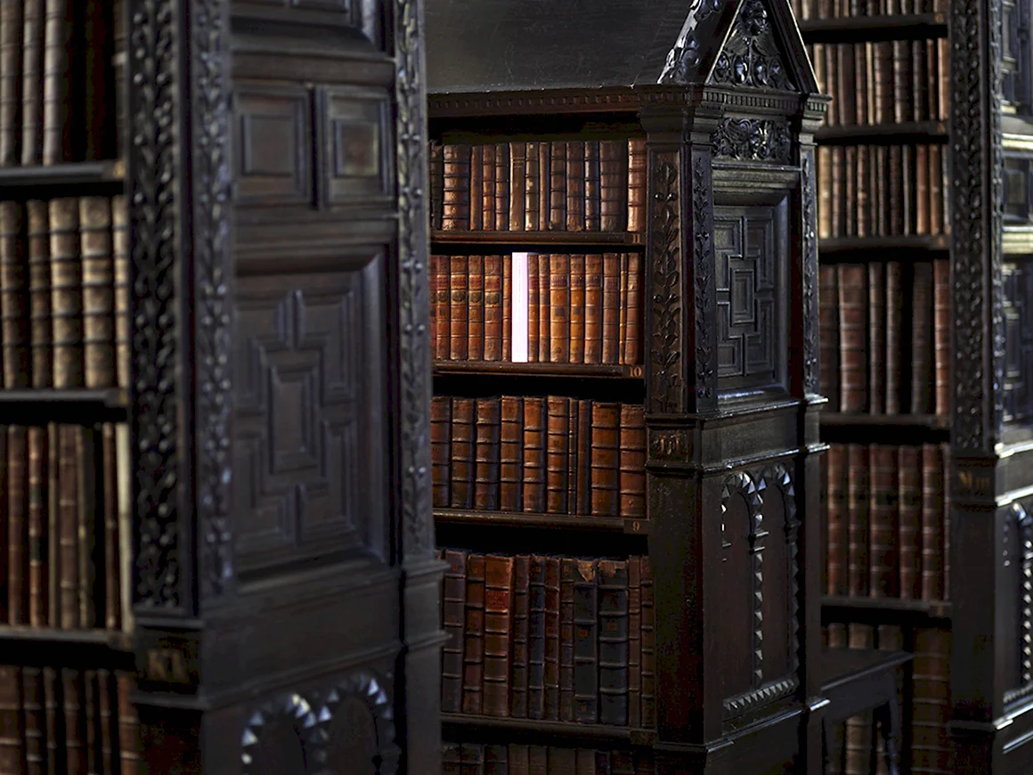 Книжный шкаф Гарри Поттер