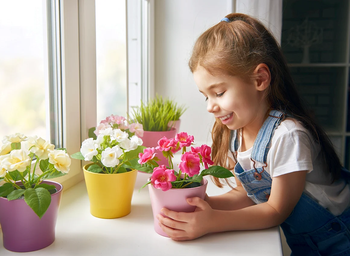 Комнатные растения для детей