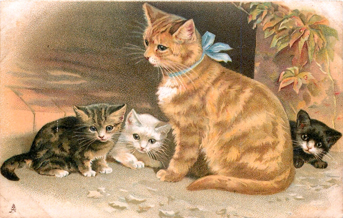 Кошка и котенок для детей
