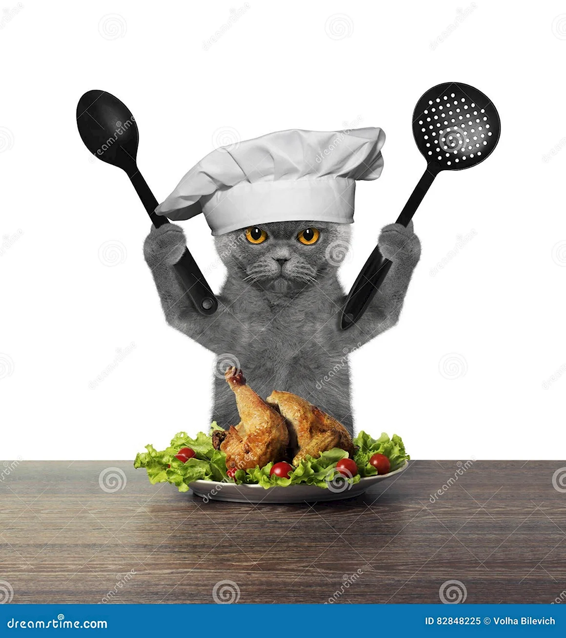 Кошка повар