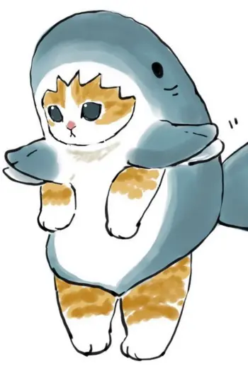Котик акула