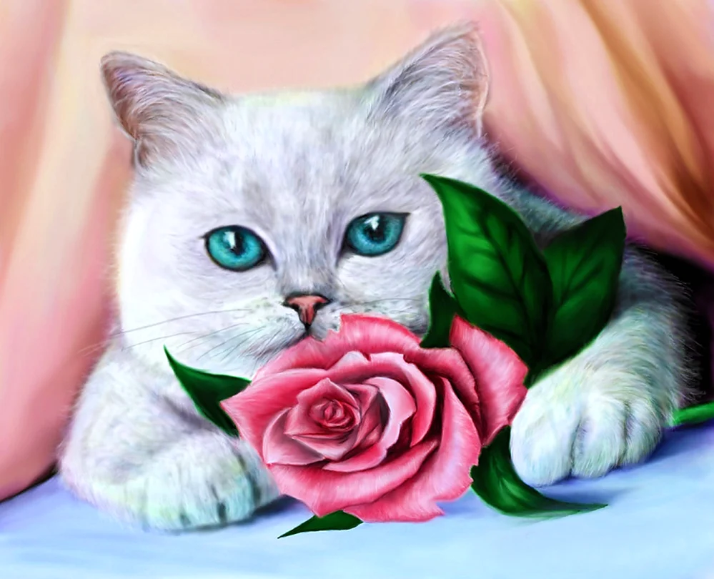 Котик с розой