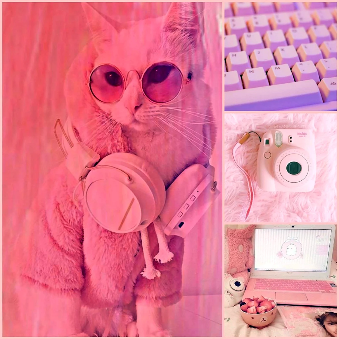 Котики Эстетика розовая