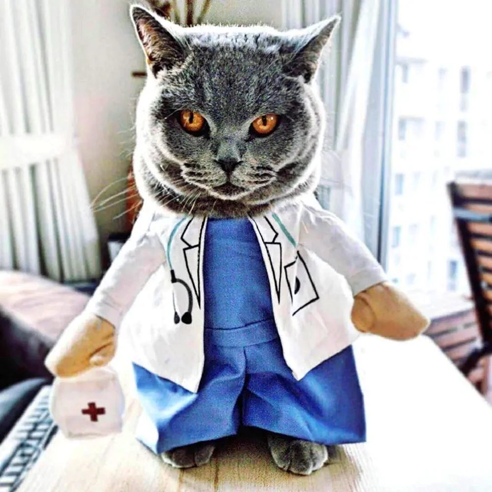Котики в медицинских костюмах