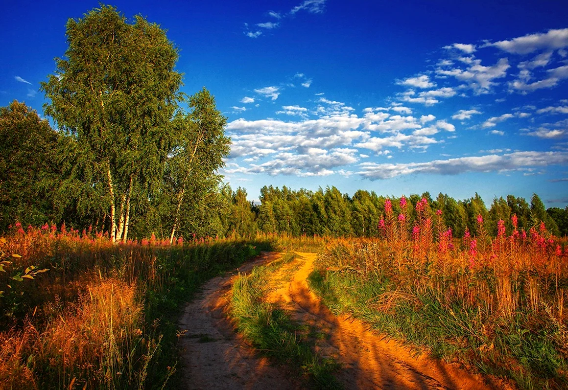Красивые летние пейзажи России