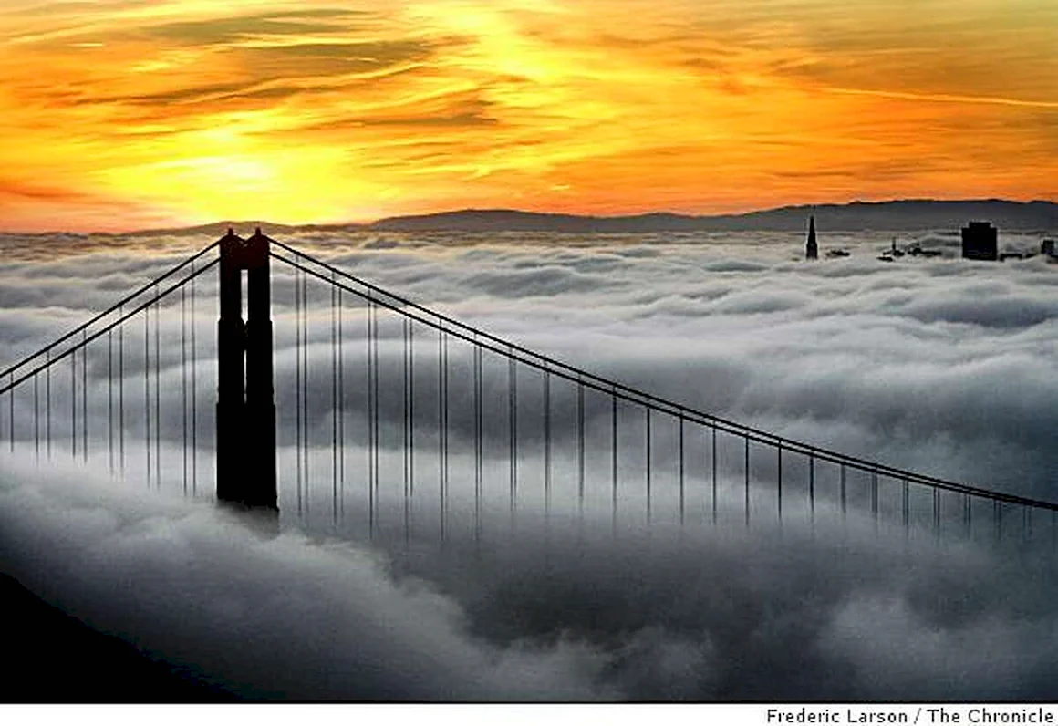 Красивый мост в тумане