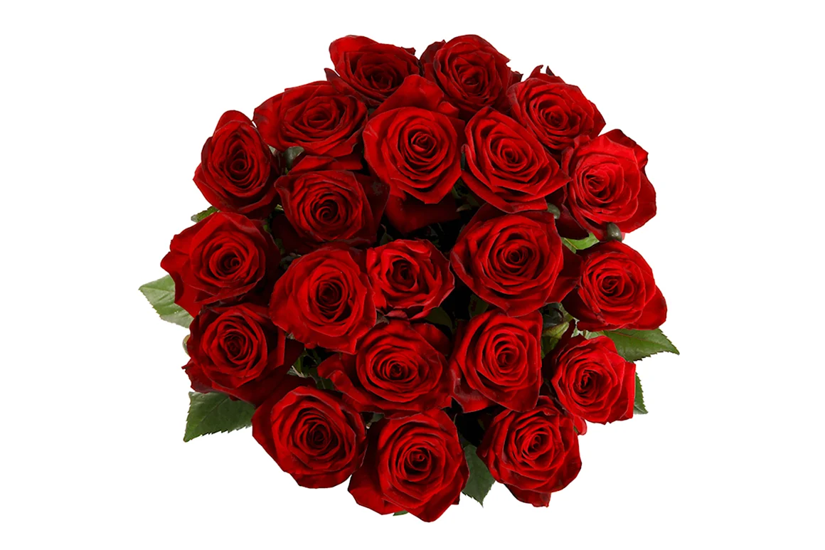 Красная роза ред Наоми 60 см букет