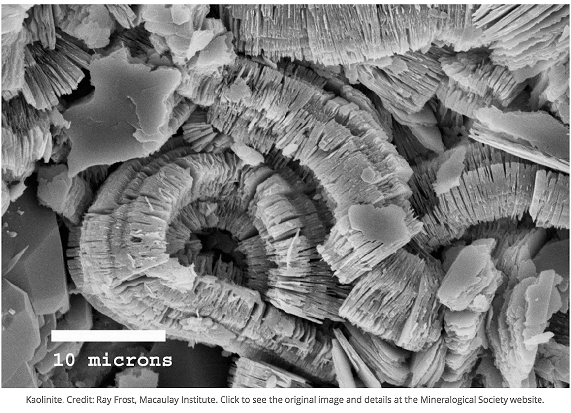 Кристаллы монтмориллонита электронный микроскоп