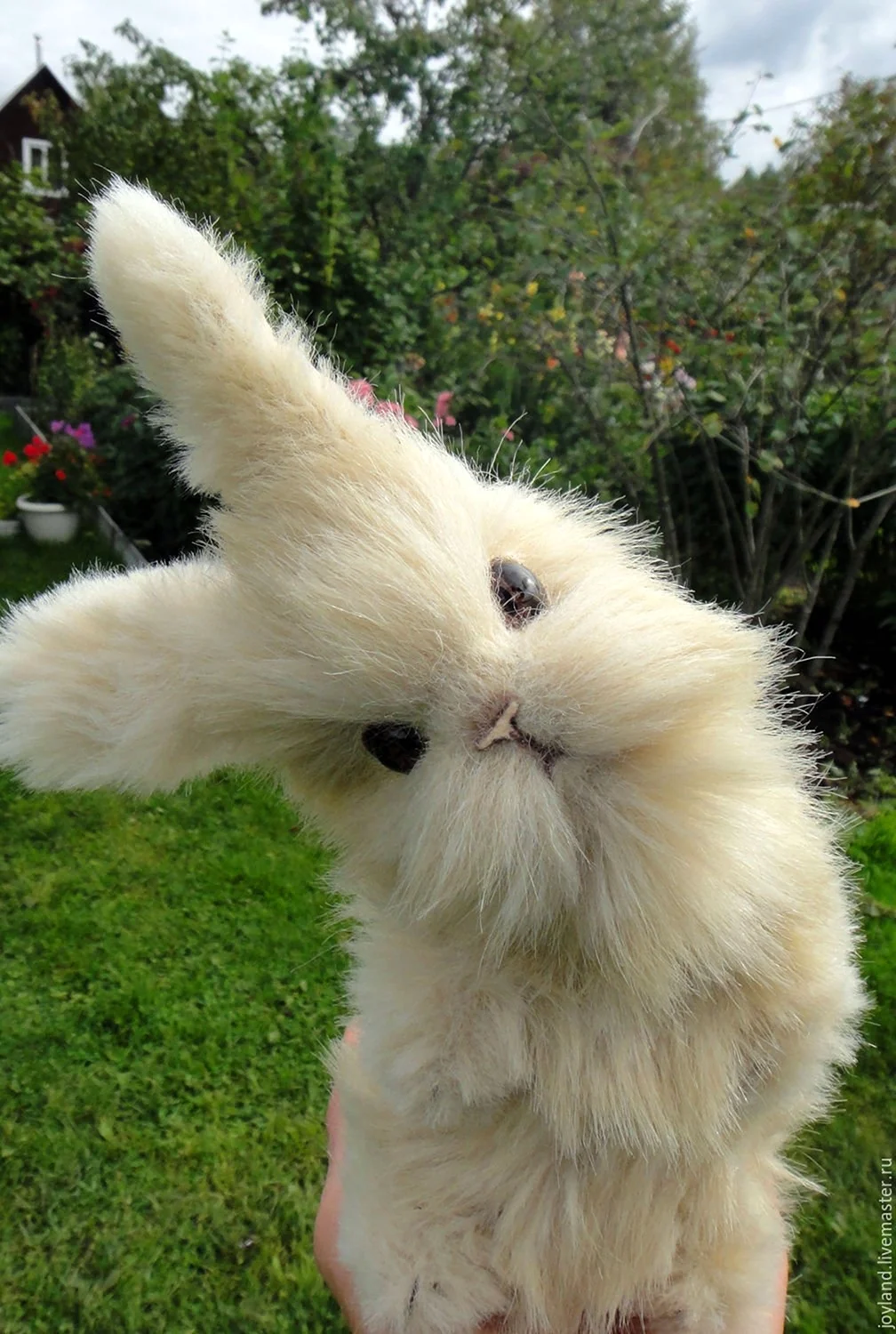 Кролик декоративный ангорский белый