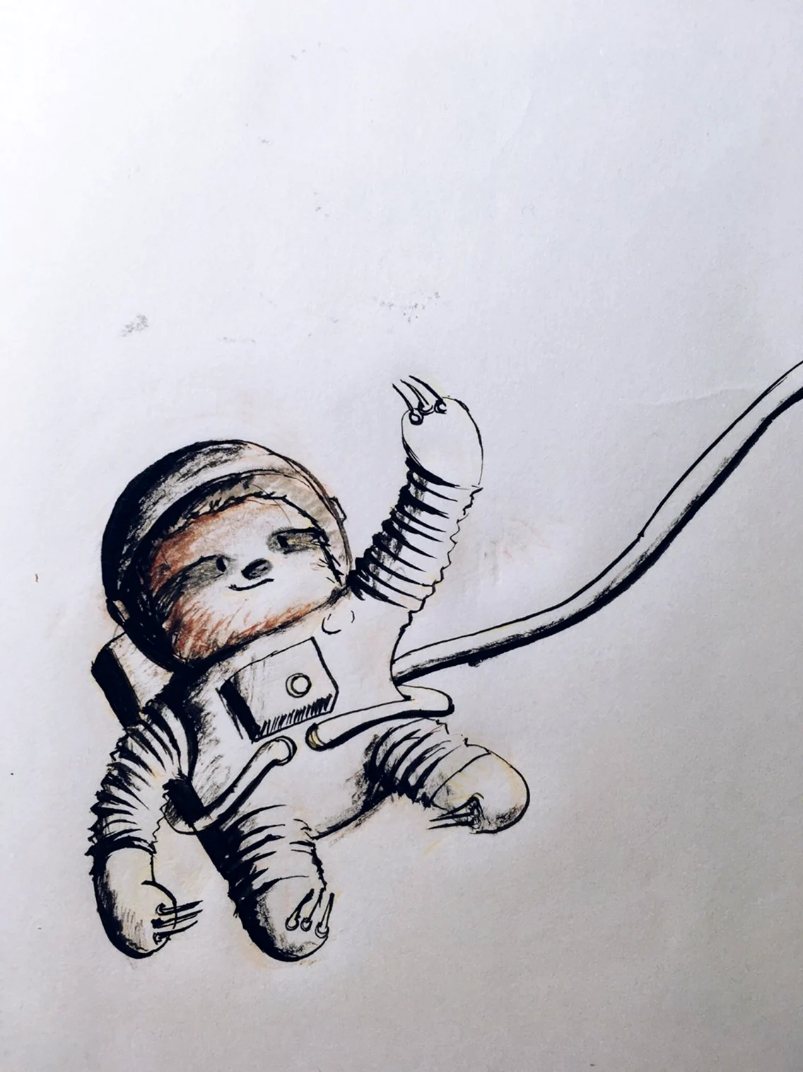 Ленивец космонавт