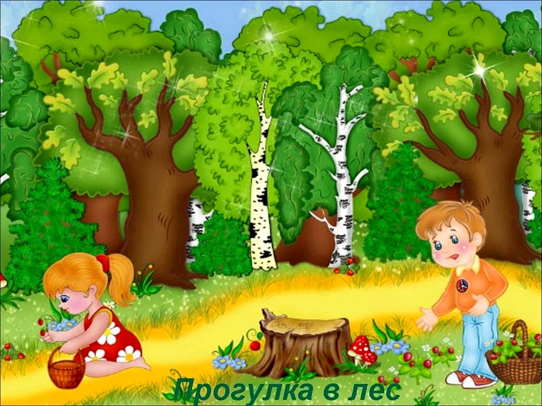 Лес для дошкольников