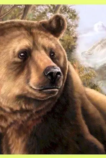 Медведь рисунок