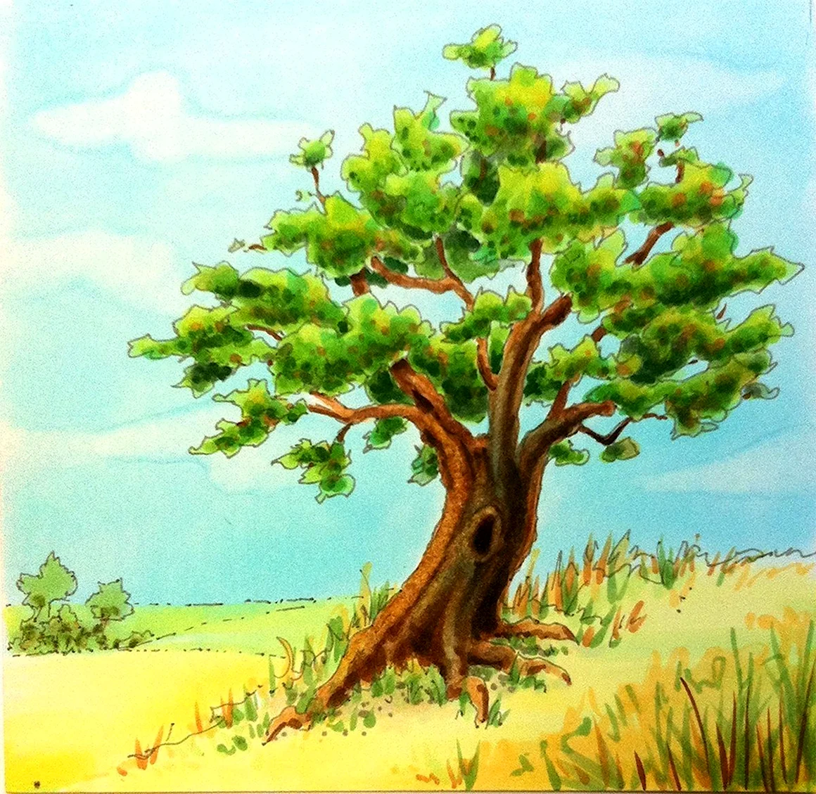 Милорн дерево