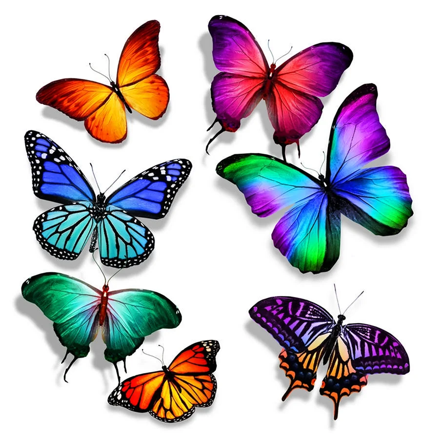 Много цветных бабочек на белом фоне