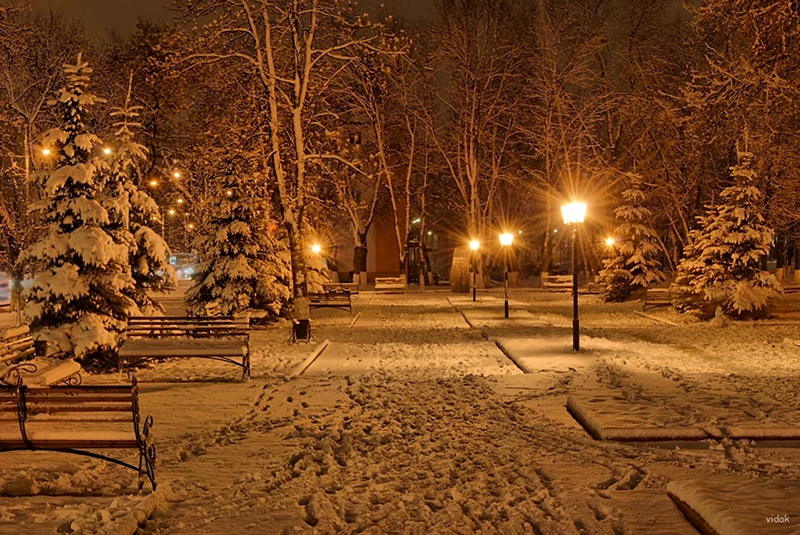Нальчик зима ночь парк