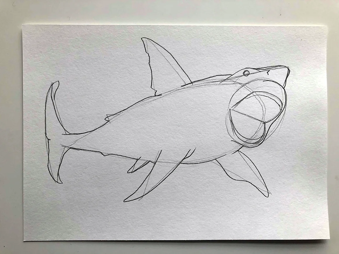 Нарисовать акулу карандашом