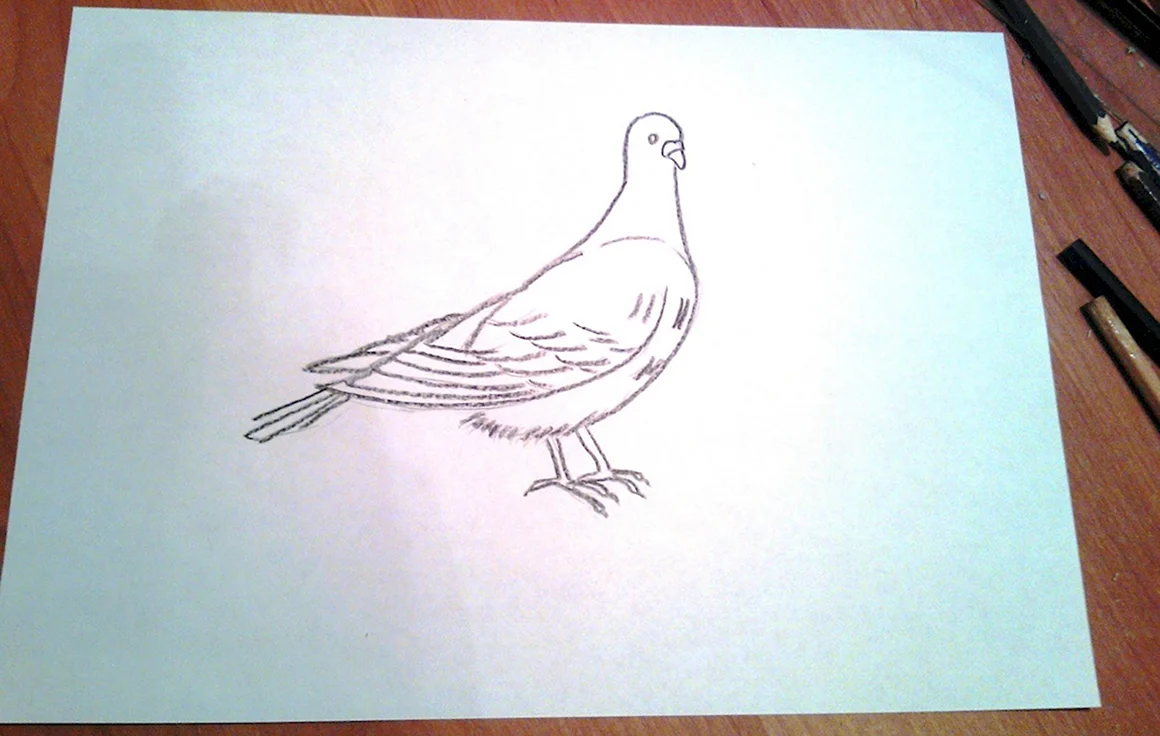 Нарисовать голубя с конвертом цветными карандашами