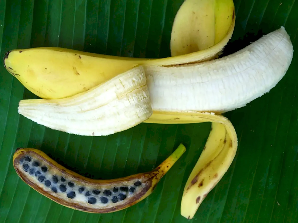 Настоящий банан