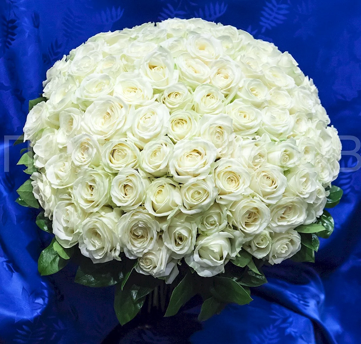 Огромный букет белых роз