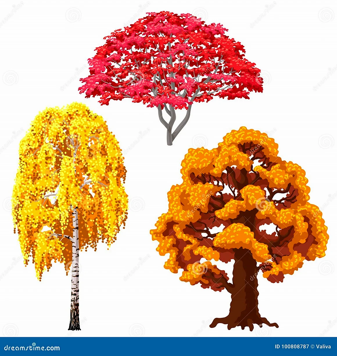 Осеннее дерево береза для детей