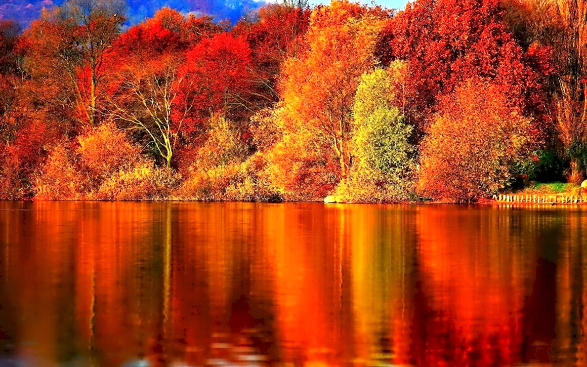 Осенний лес золотой багряный