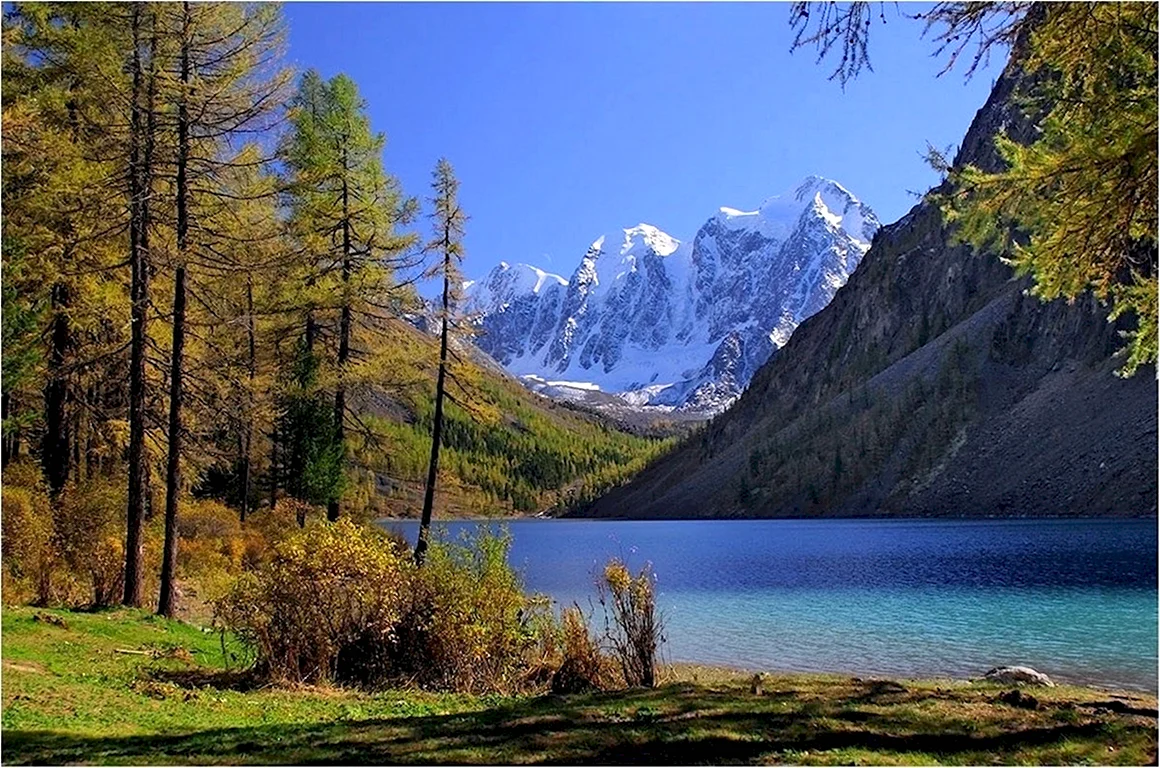 Озеро ситр Алтай