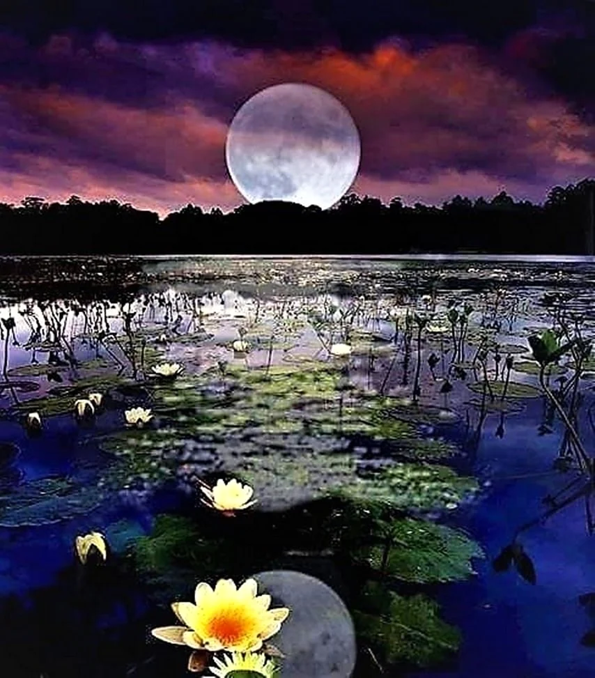 Озеро в лунном свете