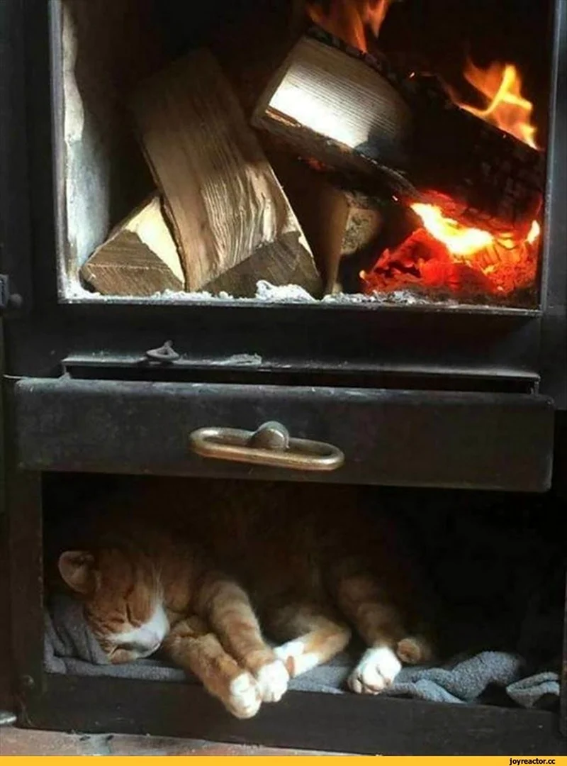 Печка с кошкой