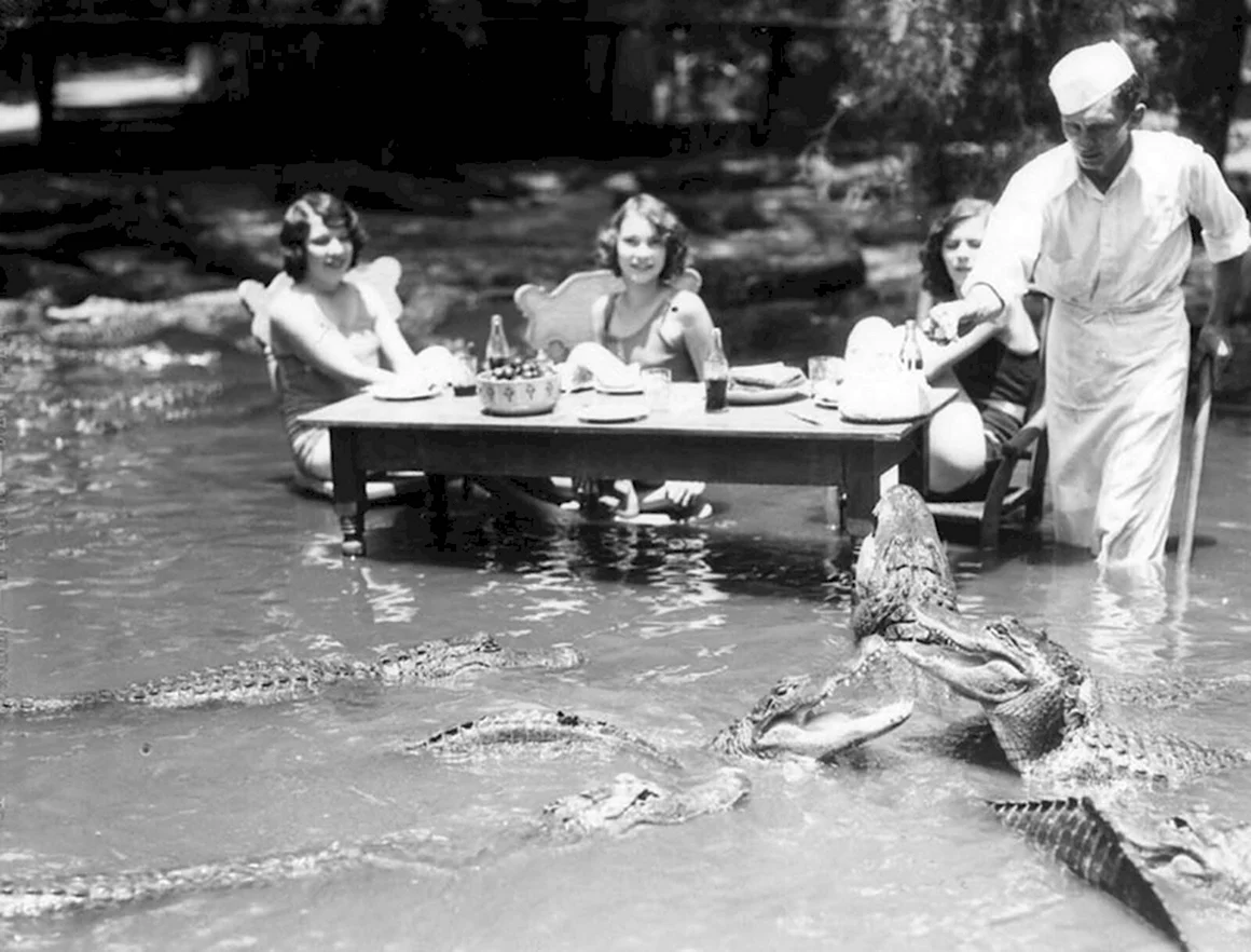 Пикник с крокодилами в 1909 году