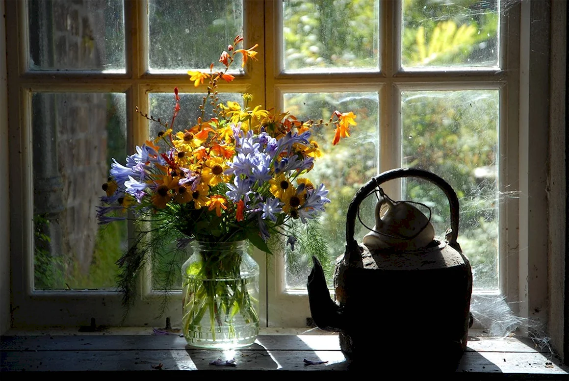 Полевые цветы на окне