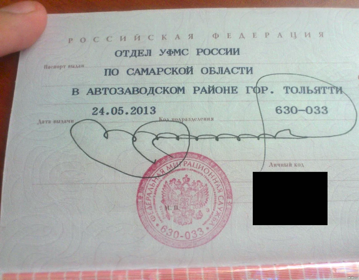 Прикольные подписи в паспорте