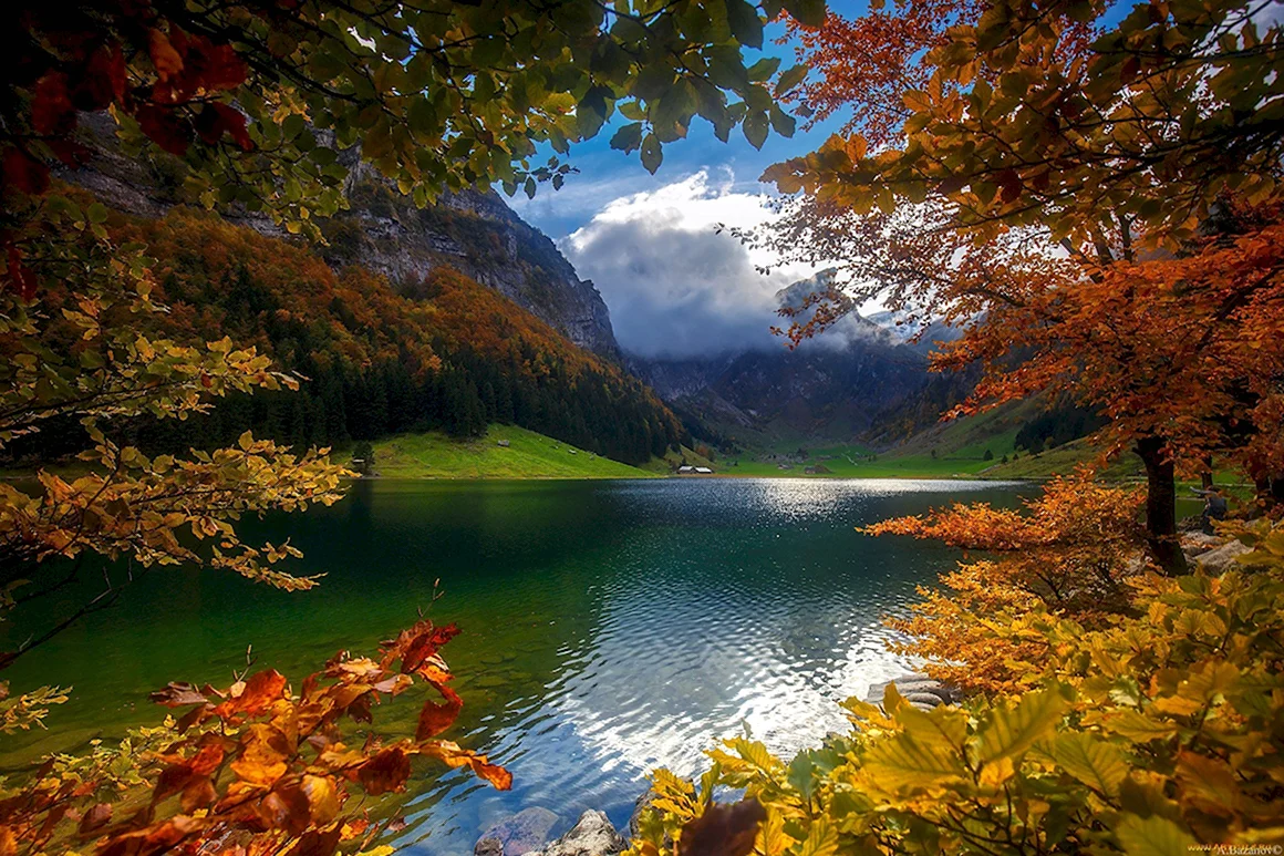 Природа горы озеро лес осень
