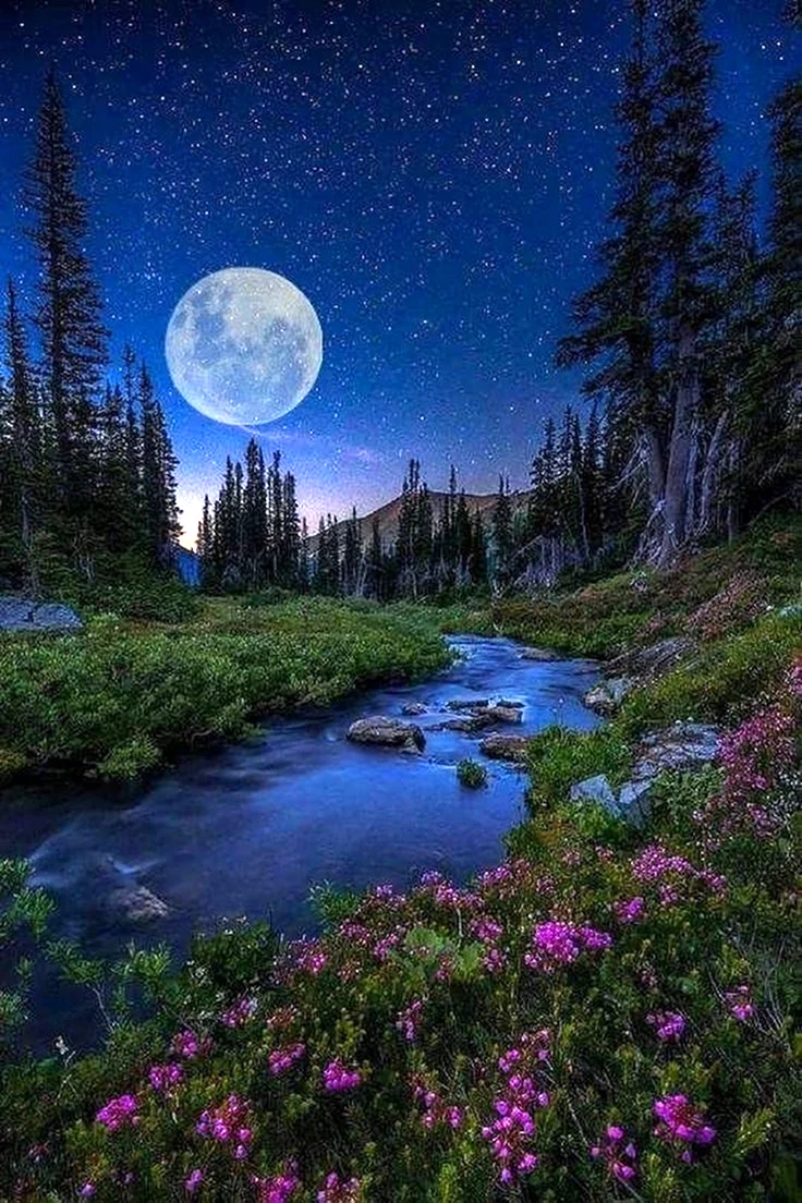 Природа Луны