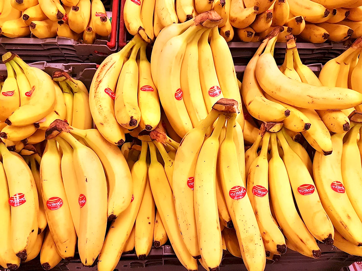 Производители бананов