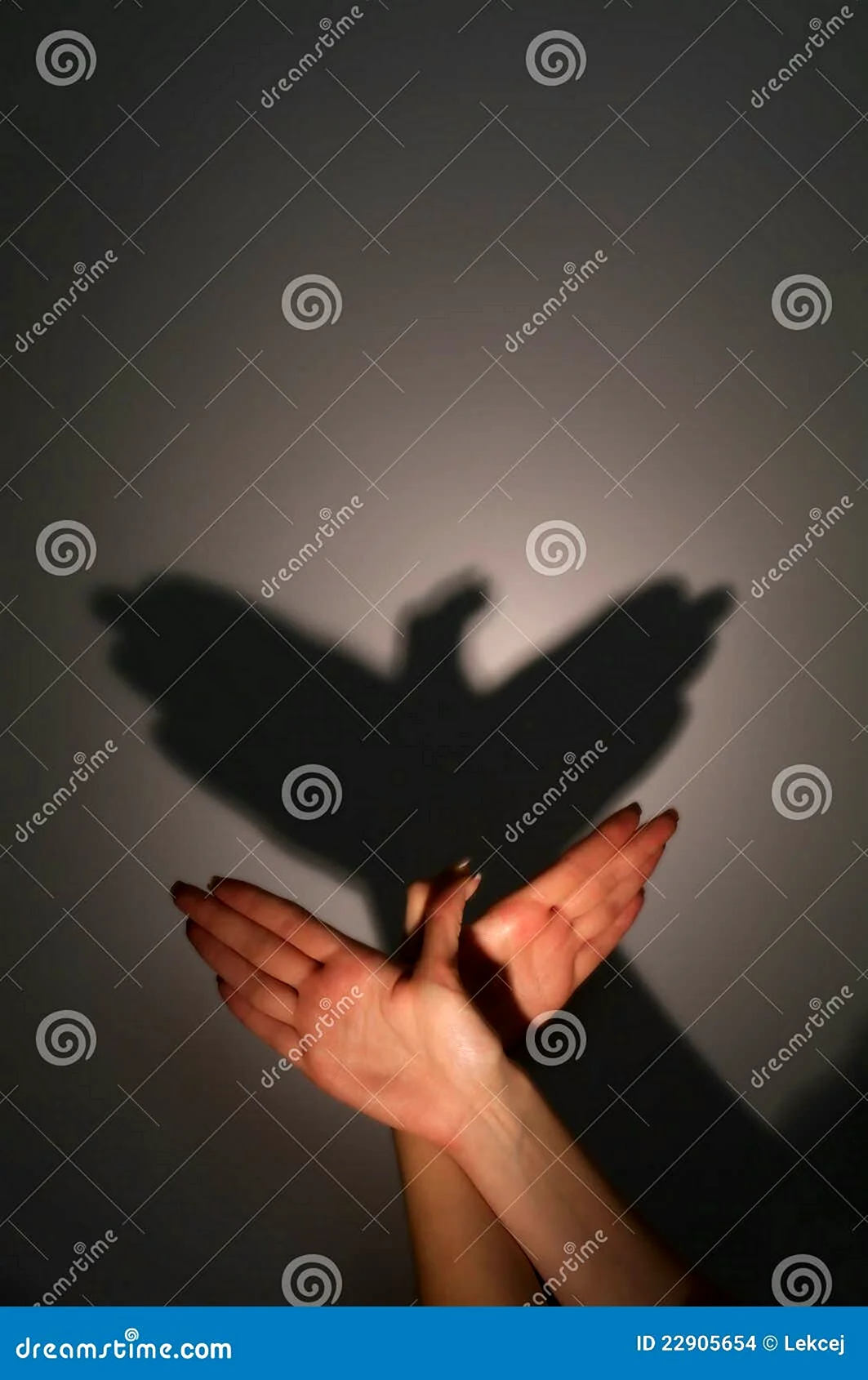 Птица из рук тень
