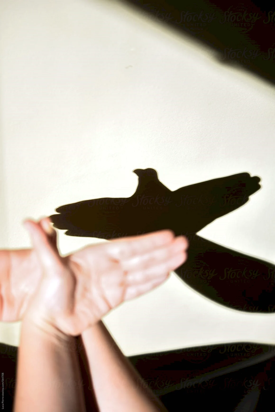 Птица руками тень