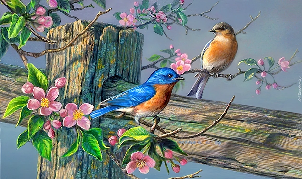 Птицы на цветущей ветке живопись