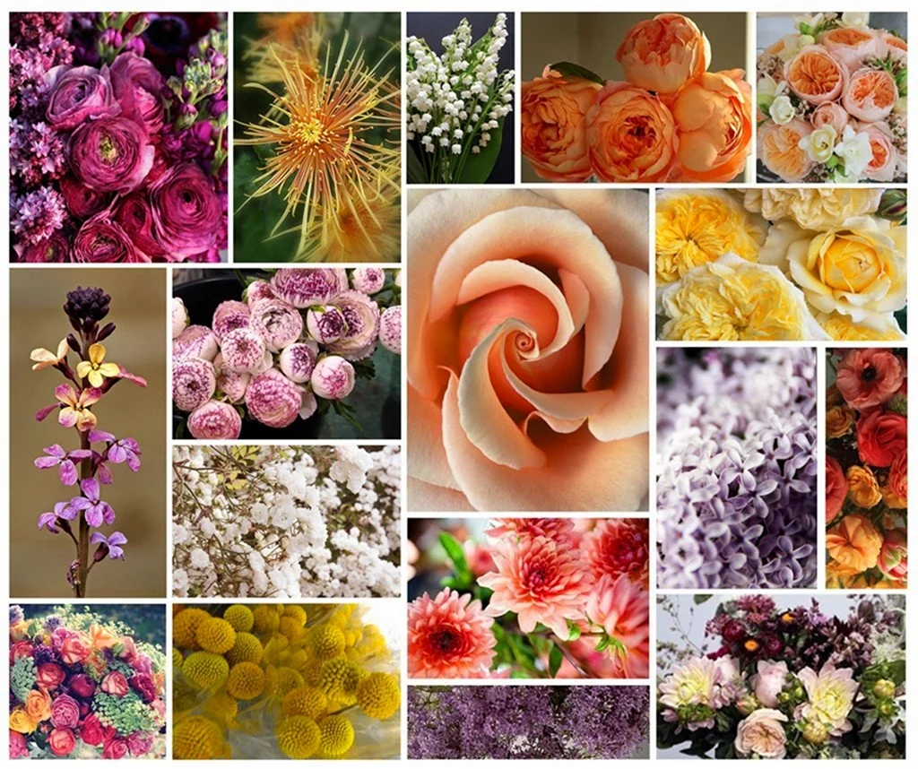 Разнообразные цветы
