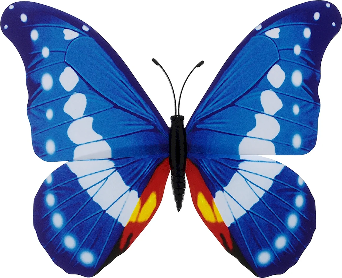 Разноцветные бабочки на белом фоне