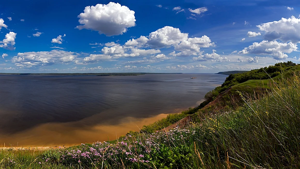 Река Волга Приволжье берег