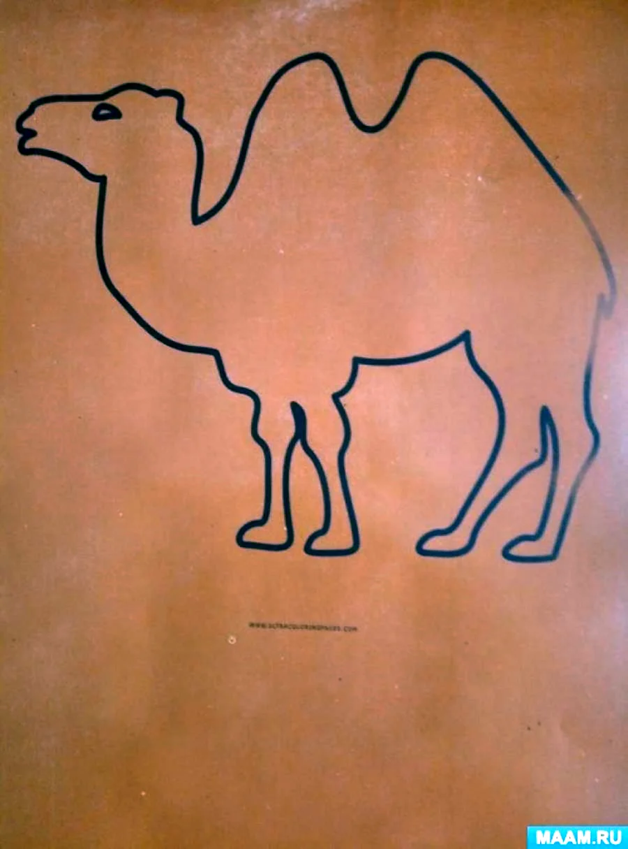 Рисование в старшей группе верблюд в пустыне