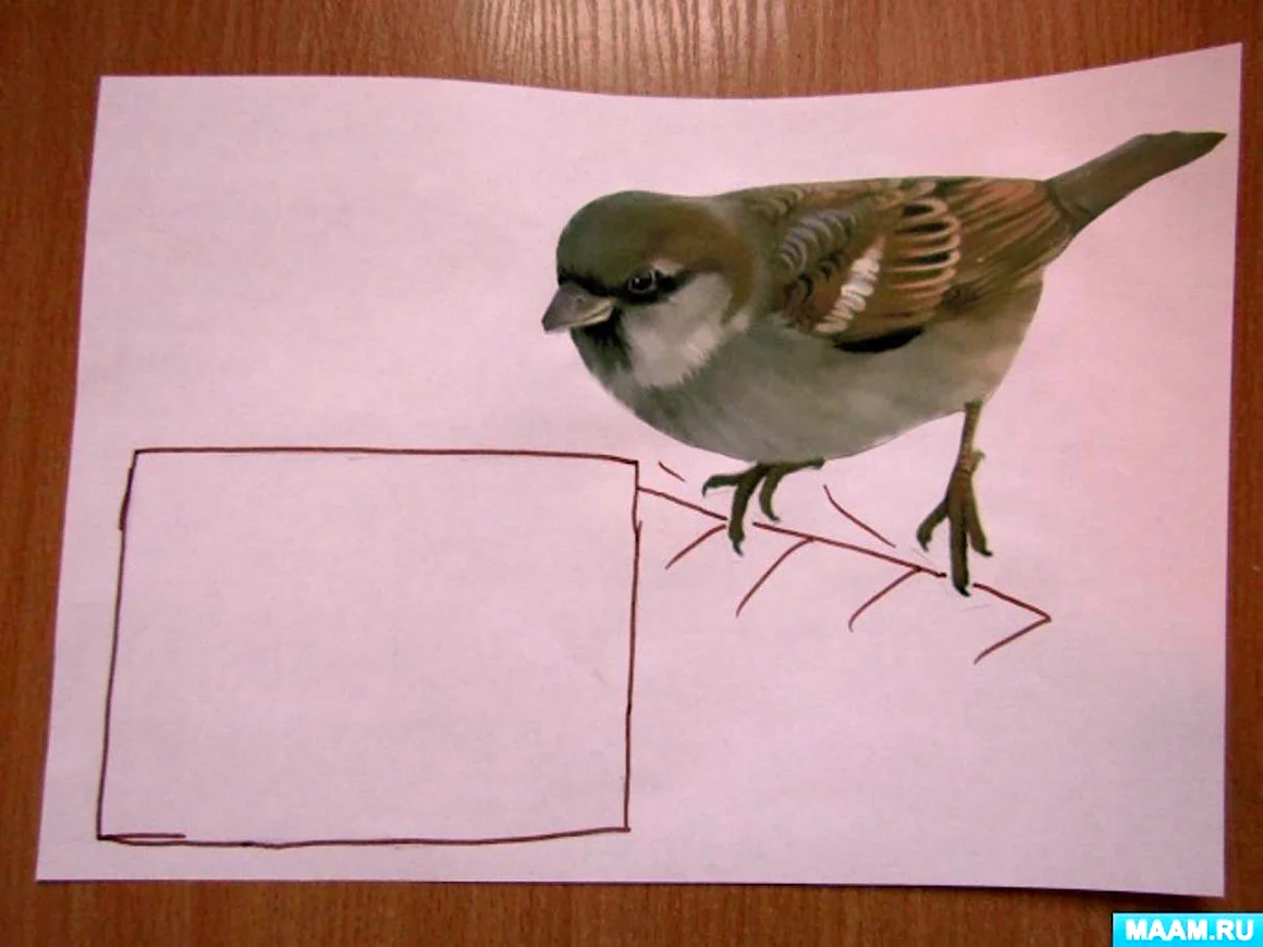 Рисование зернышки для птичек