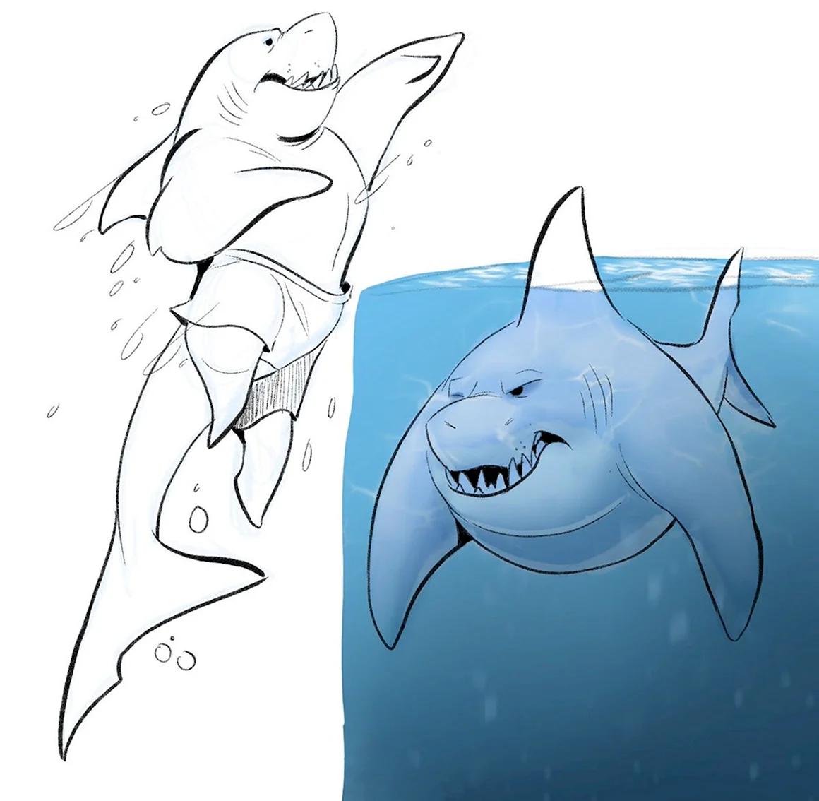 Рисунок акулы для сравнения