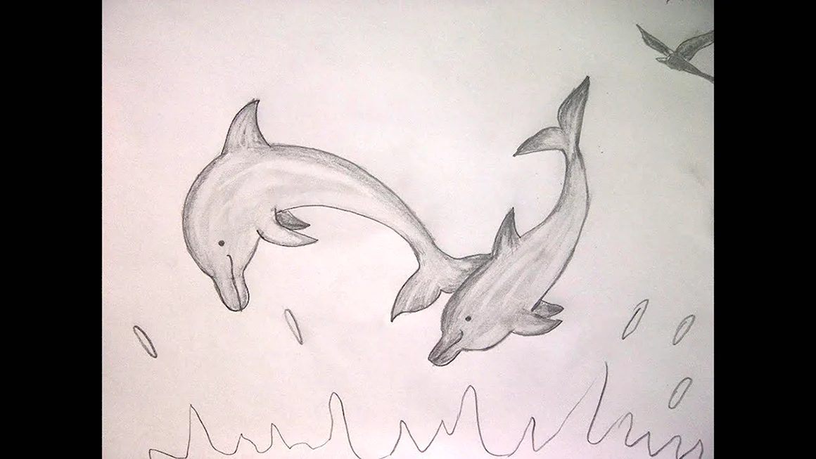 Рисунок дельфина простым карандашом
