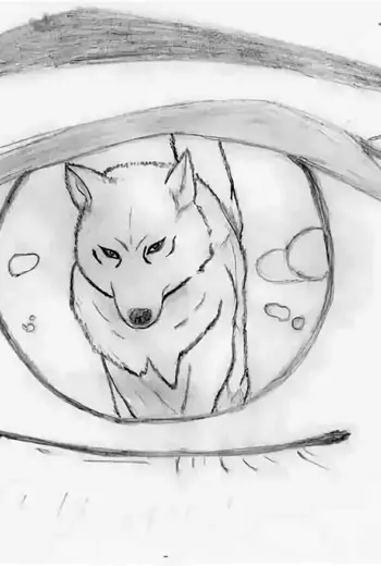 Рисунок волка карандашом для срисовки