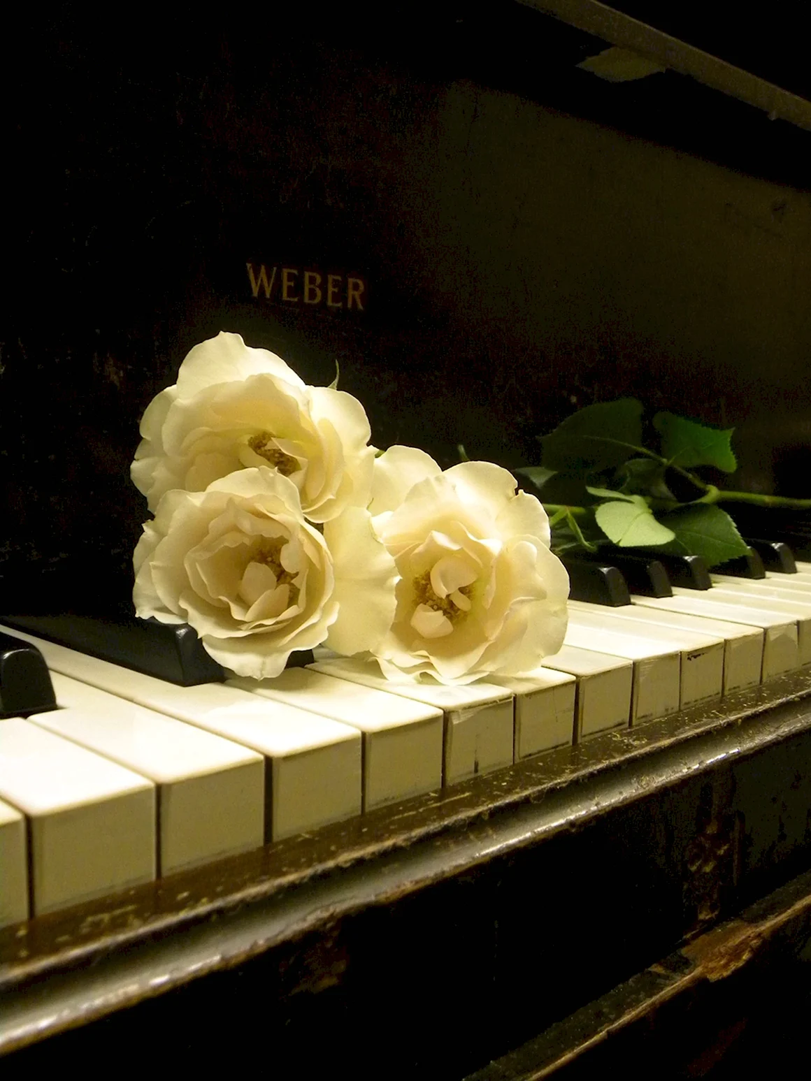Рояль с цветами
