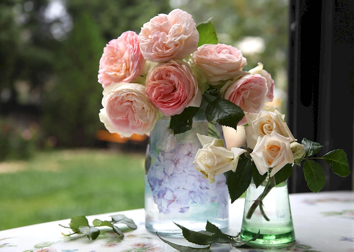 Роза Пикоти ваза