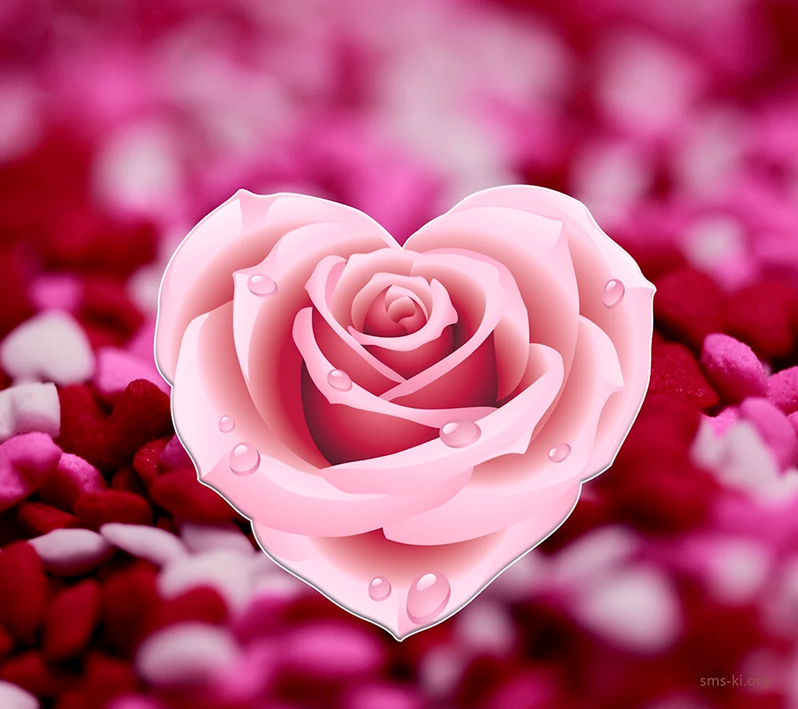 Розовые розы и сердце